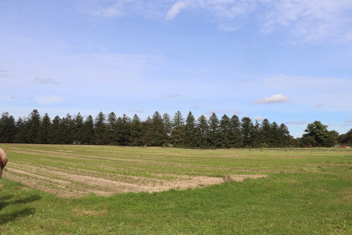 Farmland on the grounds of the Sisters of St. Joseph in Brentwood.