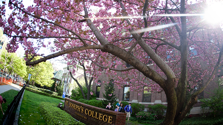 Brooklyn campus in the spring.