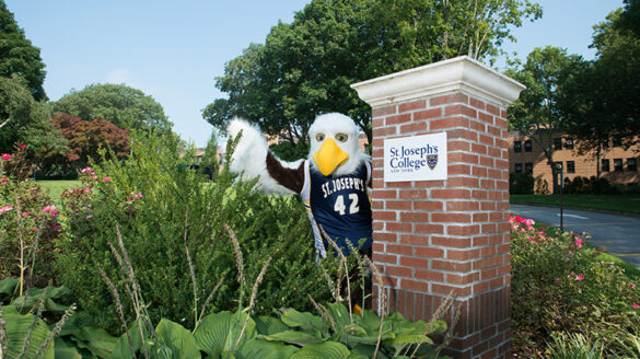 SJC Long Island mascot Hot Wyngz welcoming accepted students for Admitted Student Day.